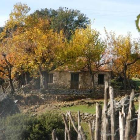 Lepiana, remnants of the past, LEPIANA (Village) EVRYTANIA