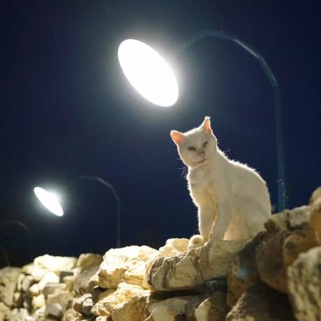 Νυχτερινή ζωή στα Κουφονήσια, ΚΟΥΦΟΝΗΣΙ (Λιμάνι) ΚΥΚΛΑΔΕΣ