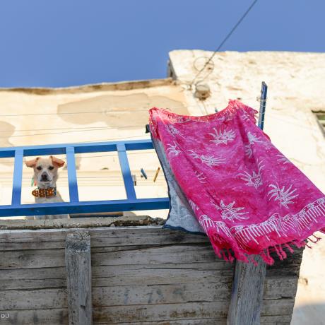 Θέα από μπαλκόνι στη Χώρα της Αντιπάρου, ΑΝΤΙΠΑΡΟΣ (Λιμάνι) ΚΥΚΛΑΔΕΣ