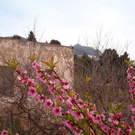 The colors of nature at Assomatos settlement, ASSOMATOS (Settlement) KOS