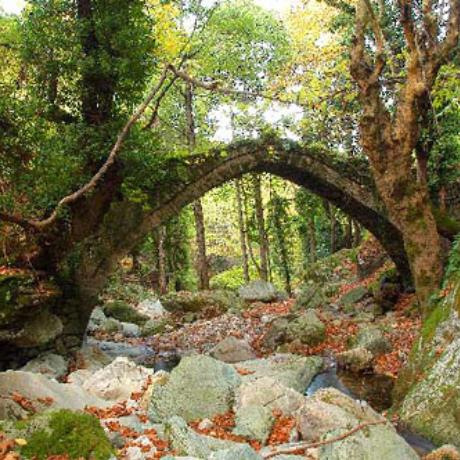 Γέφυρα στην Τσαγκαράδα, ΤΣΑΓΚΑΡΑΔΑ (Χωριό) ΖΑΓΟΡΑ-ΜΟΥΡΕΣΙ
