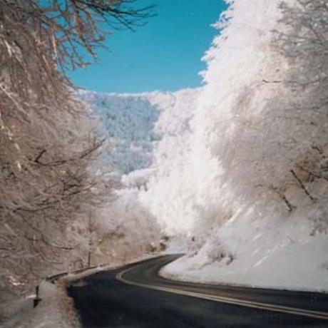 Pissoderi, road access to the ski center, PISSODERI (Ski centre) FLORINA