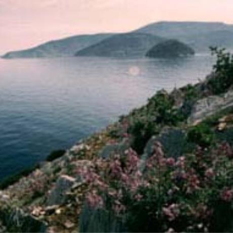 Heraklia, Arela islet, HERAKLIA (Community) KYKLADES