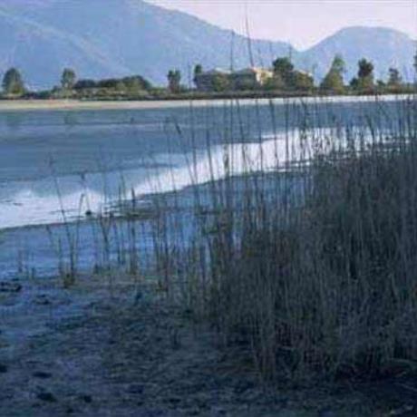 Eco system, Psifta lagoon, PSIFTI (Settlement) TRIZINA
