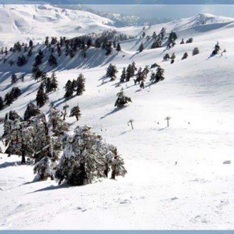 Vassilitsa, a vast area in snow, VASSILITSA (Ski centre) GREVENA