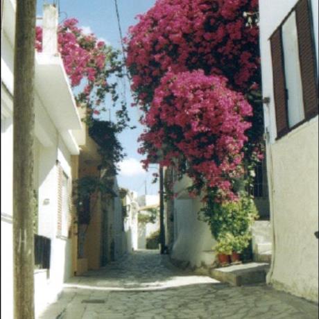 Archanes, paved road, ARCHANES (Municipality) TEMENOS
