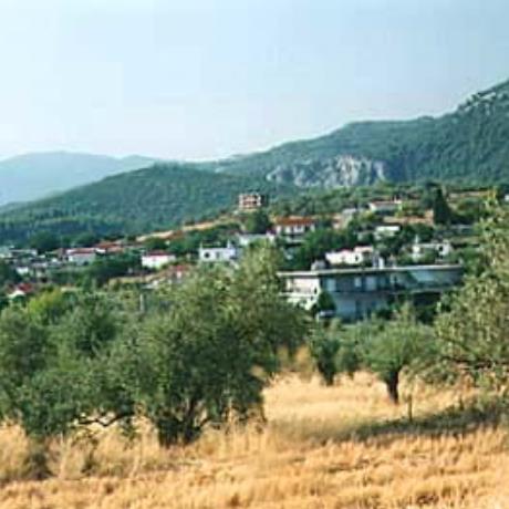 Dafni Kechrion, view of the village, DAFNI KECHRION (Village) CHALKIDA