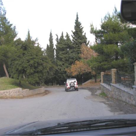 Elikon, a road to Levadia, ELIKON (Mountain) VIOTIA