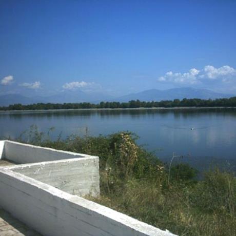 A view of Kerkini lake, KERKINI (Lake) SERRES