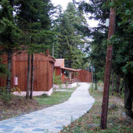 Itamos, path at Dryades village, ITAMOS (Municipality) KARDITSA