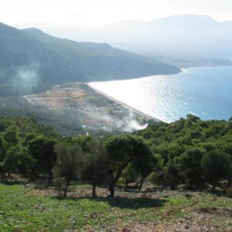 Psatha, the beach and the surrounding area, PSATHA (Settlement) ATTICA, WEST