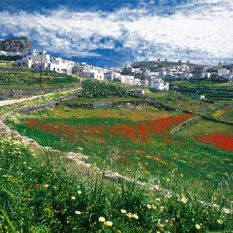 Amorgos capital; a spring landscape, AMORGOS (Village) AMORGOS