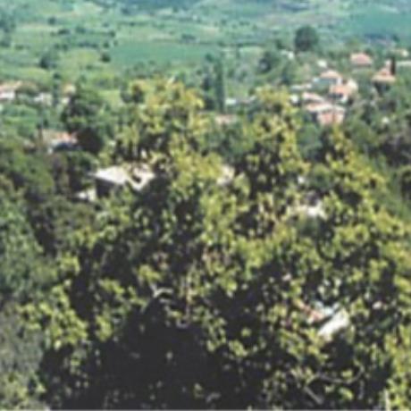Dyo Vouna, partial view of the village, DYO VOUNA (Village) GORGOPOTAMOS