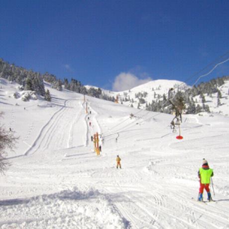 Mainalon ski centre, sliding down the slope on skis, MAINALON (Ski centre) ARCADIA
