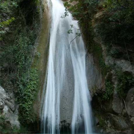 NEDA Waterfalls, NEDA (River) TRIFYLIA