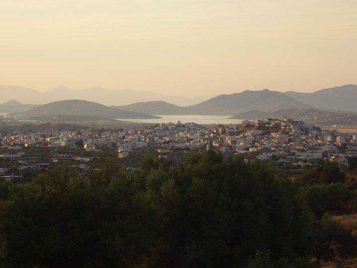 Panoramic view of Megara MEGARA (Town) ATTICA, WEST