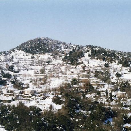 Agios Andreas, Dodoni, AGIOS ANDREAS (Village) DODONI