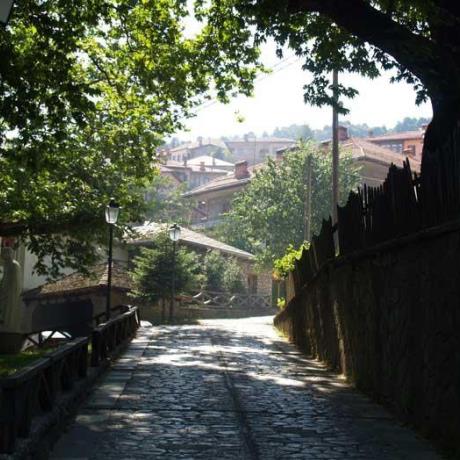 Under the leafy shade: An alley in Metsovo, METSOVO (Small town) IOANNINA