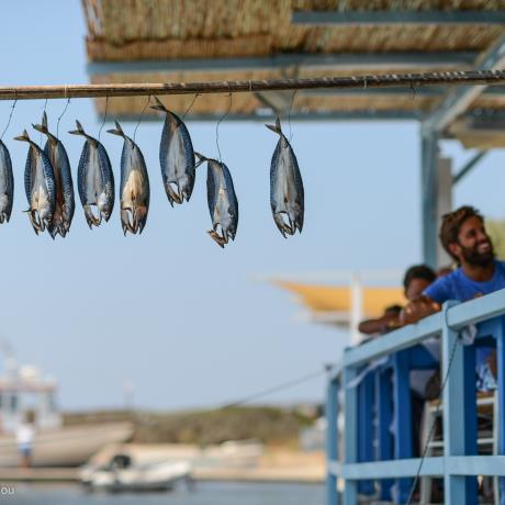 Fresh fish at Agios Georgios, AGIOS GEORGIOS (Settlement) ANTIPAROS