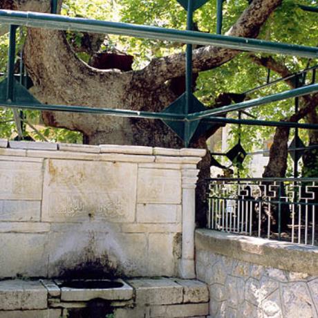 Fountain-sarcophagus under Hippocrates Plane tree, KOS (Ancient city) DODEKANISSOS