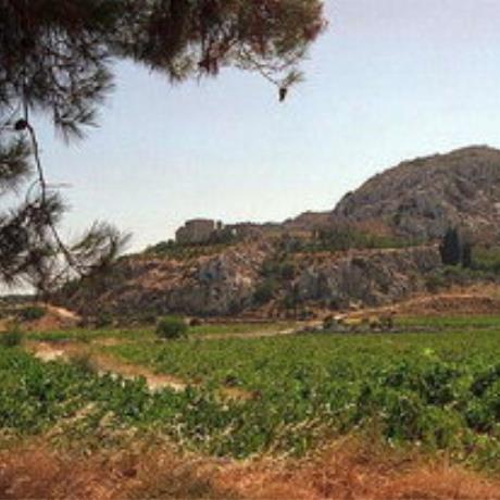 The site of ancient Pressos, PRESSOS (Ancient city) SITIA