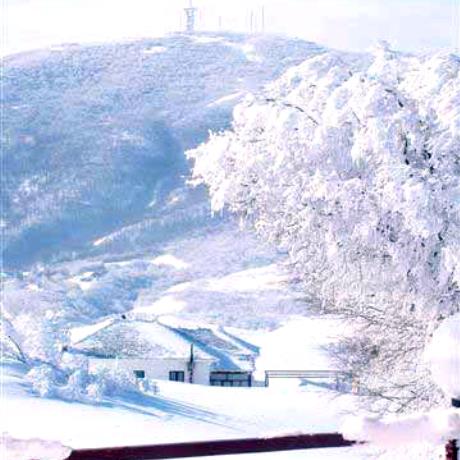 Pilio, a snow-white picture, PILIO (Ski centre) PELION
