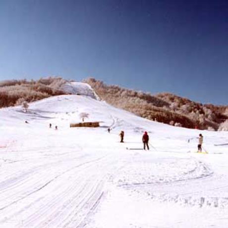 Profitis Ilias, a skiing area, PROFITIS ILIAS (Ski centre) METSOVO
