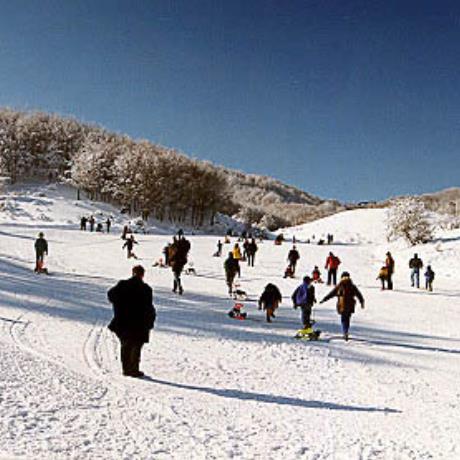Profitis Ilias, visitors in action, PROFITIS ILIAS (Ski centre) METSOVO