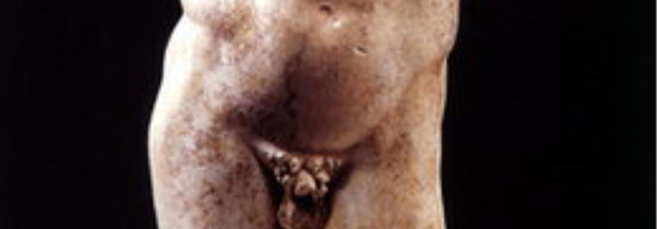 Torso of a statue in marble