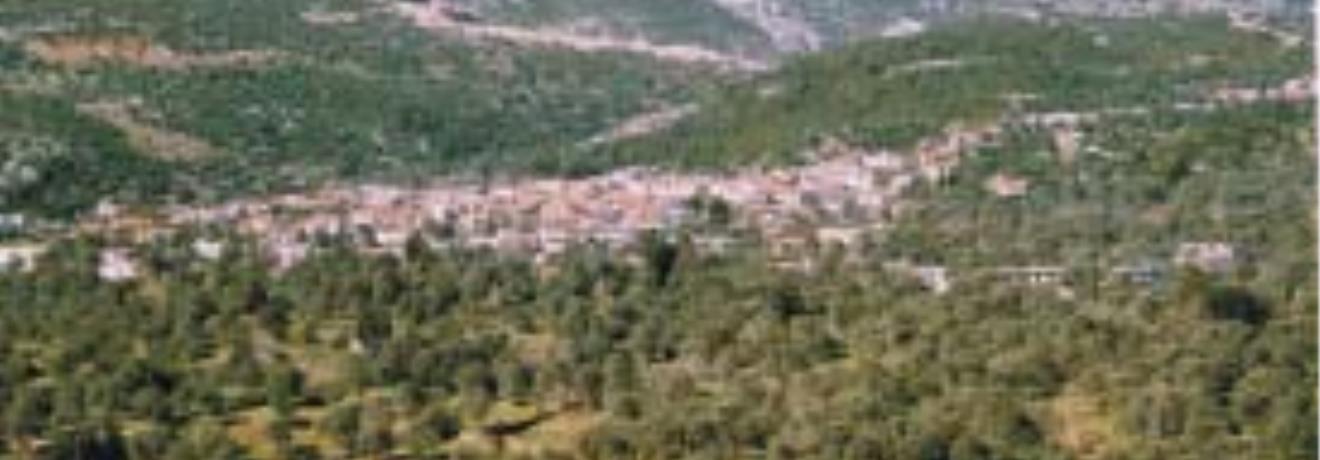 Panoramic view of the village