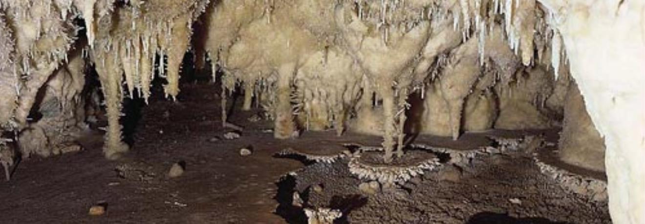 Σπήλαιο Αλιστράτης, το σπήλαιο περιέχει πλούσιο λιθοματικό διάκοσμο, που διακρίνεται για την ομορφιά του & την ποικιλία των σπηλαιοαποθέσεων