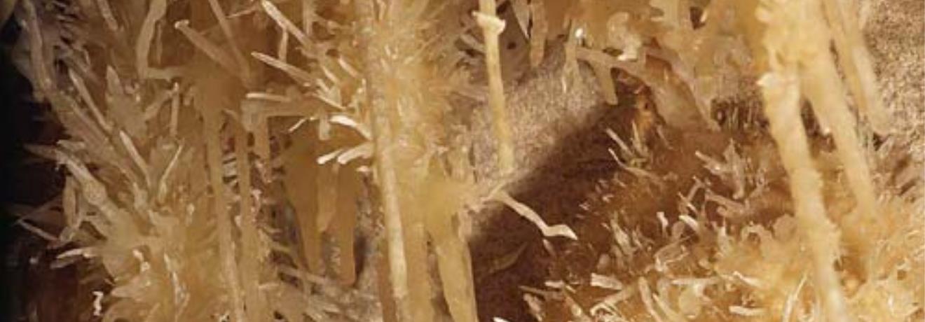 Σπήλαιο Αλιστράτης, εντυπωσιακός ο σπηλαιολογικός διάκοσμος του σπηλαίου