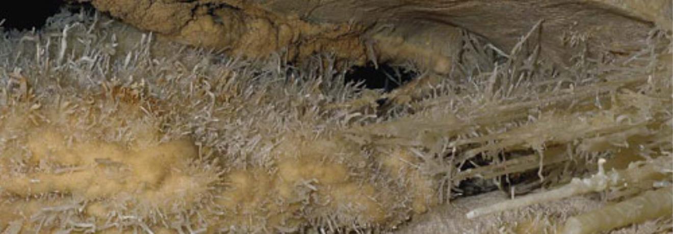 Σπήλαιο Αλιστράτης, ο θάλαμος υποδοχής (με διαστάσεις 60μ. πλάτος, 100μ. μήκος & 20-30μ. ύψος) έχει υπέροχους στολισμούς