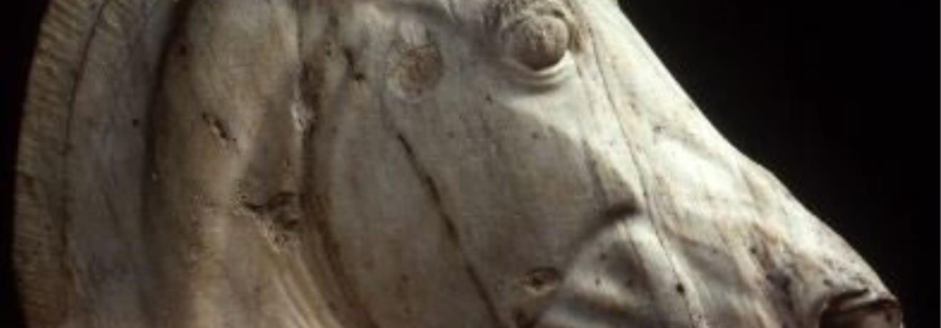 Parthenon sculptures: horse from the chariot of Selene