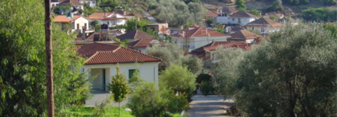Dafniotissa Amaliadas, view