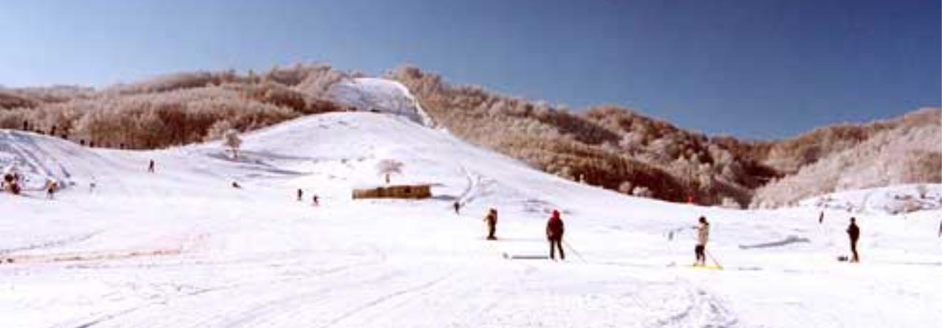 A skiing slope